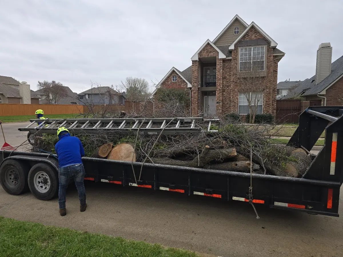 Expert Tree Fertilization with proper safety equipment in Mount Sinai
